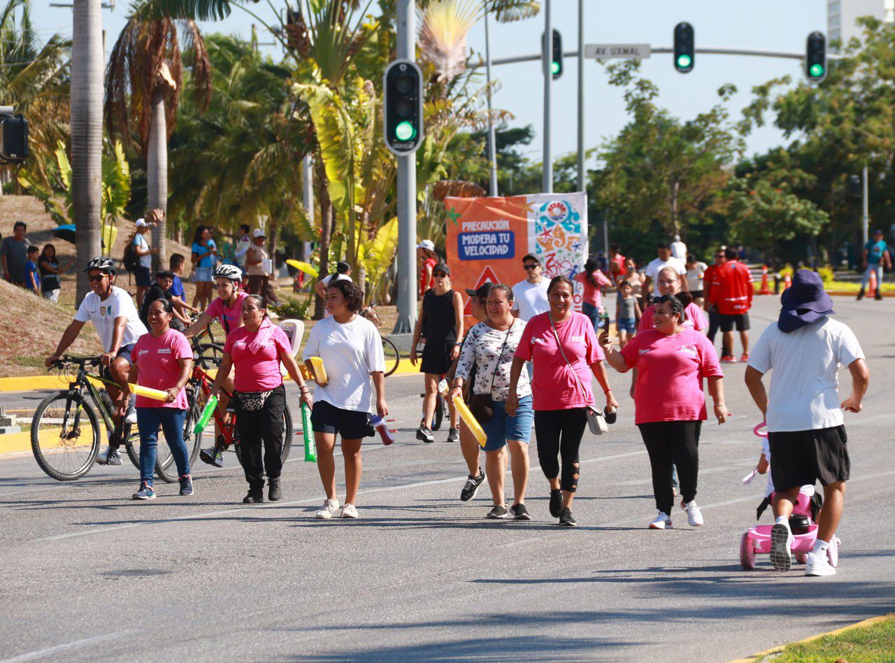 uploads/6/32/01 (2153).Jpeg